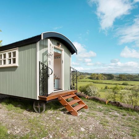 The Heron Shepherds Hut At Lyth Valley Brigsteer 外观 照片